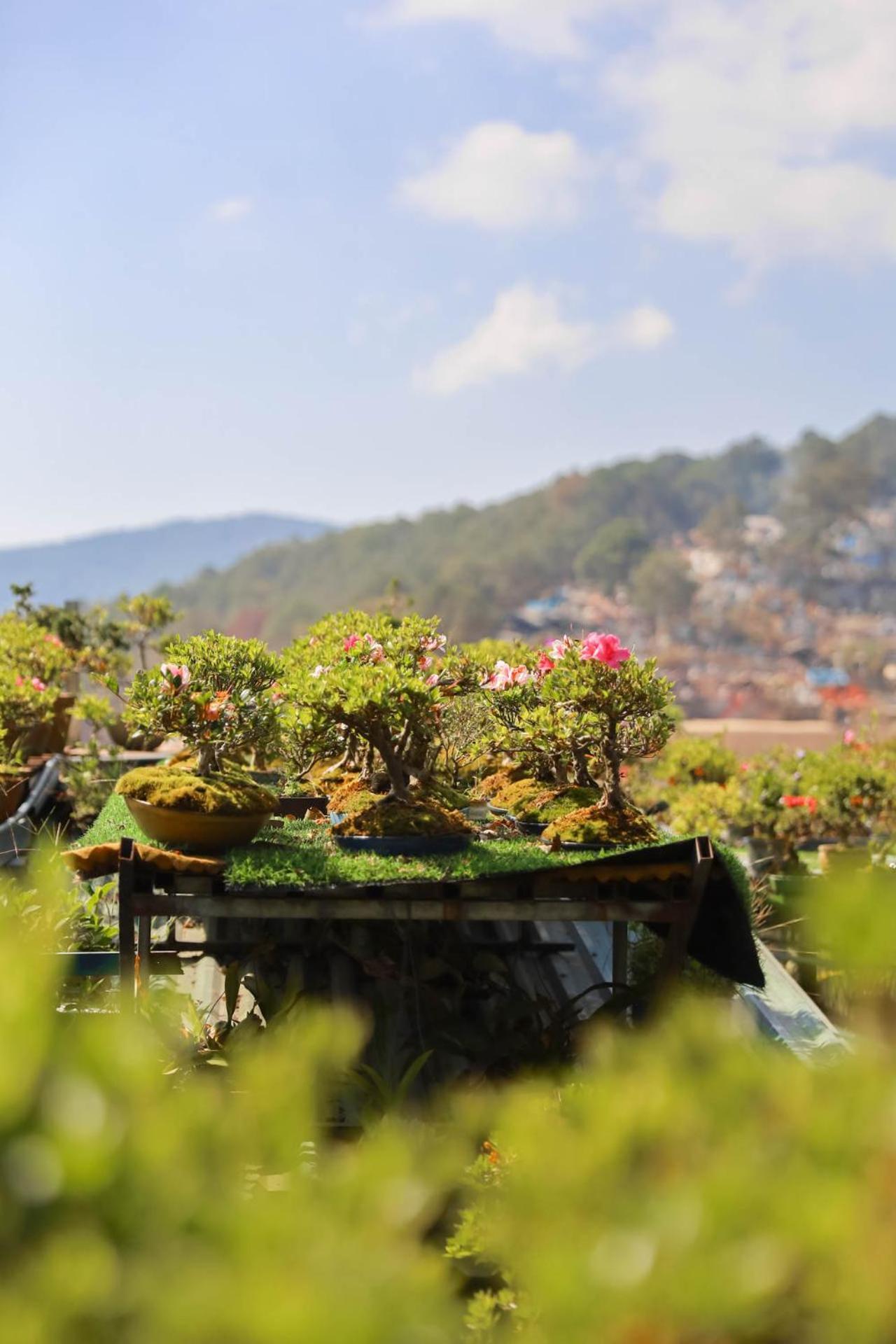 Ziczac Homestay Da Lat Kültér fotó